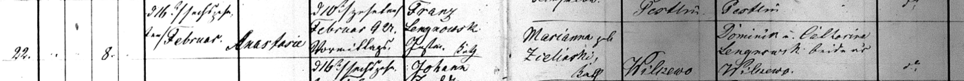 Anastasia Lingnowski 1873 Baptism Record
