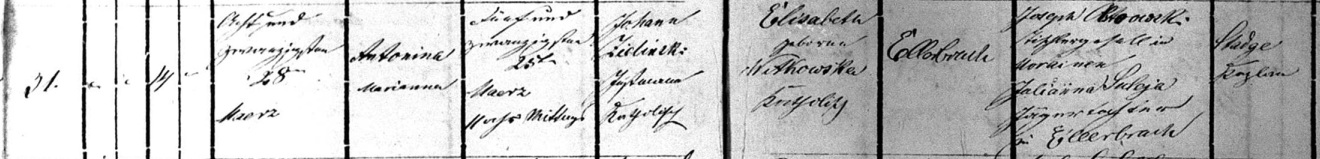 Antonia Zielinski 1864 Baptism Record