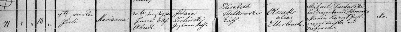 Marianna Zielinski 1869 Baptism Record