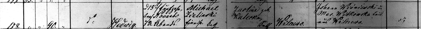 Hedwig Zielinski 1876 Baptism Record