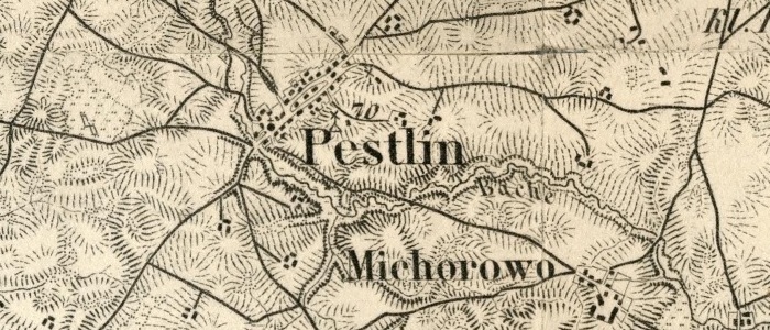 Pestlin 1893