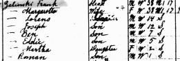 1910 census